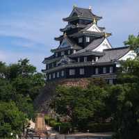 桑名城九華公園：日本城堡的浪漫🏯🌸