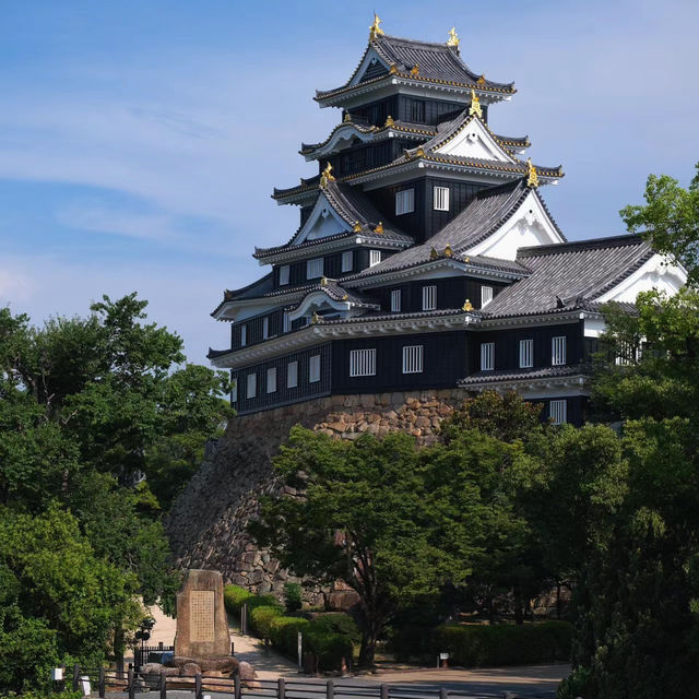 桑名城九華公園：日本城堡的浪漫🏯🌸