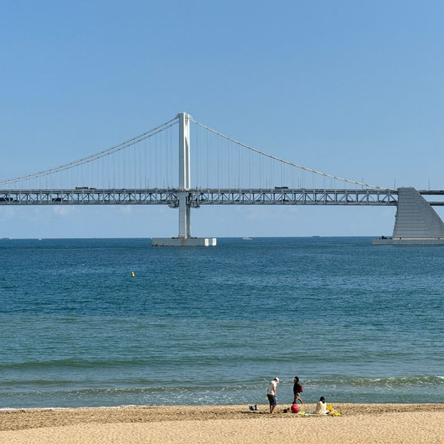 부산 광안리 오션뷰 한옥카페 비엔나커피