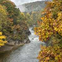 【北海道】紅葉がきれいな温泉地🍁