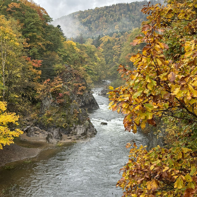 【北海道】紅葉がきれいな温泉地🍁