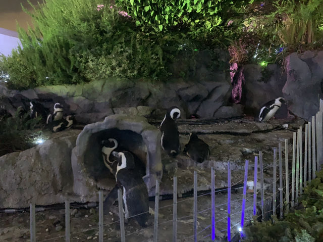 サンシャイン水族館！！