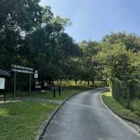 大欖郊野公園·香港徒步🇭🇰·老少咸宜·Happy