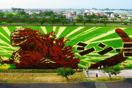 青森/田舎館】必見‼︎田んぼアート | Trip.com 南津軽郡