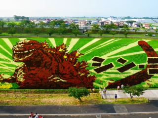 A Must-See in Aomori/Inakadate: Rice Paddy Art