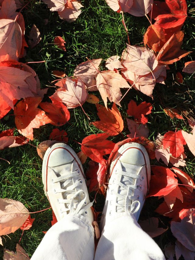 【バンクーバー🇨🇦】秋のビーチでゆったり紅葉狩り🍁