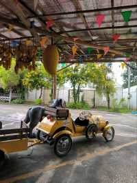 9 Tamarind Cafe ร้านมะขามส่งตรงจากฟาร์ม