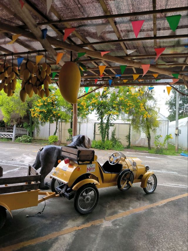9 Tamarind Cafe ร้านมะขามส่งตรงจากฟาร์ม