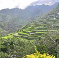 APO WHANG-OD