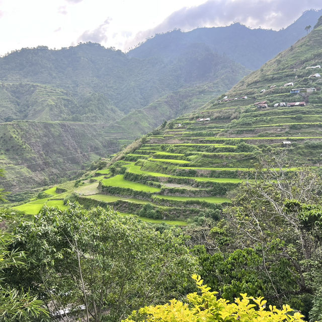 APO WHANG-OD