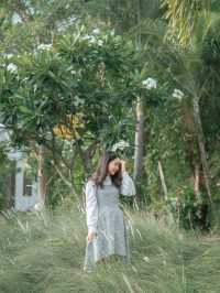 Rice Field Home Farm Stay & Cafe