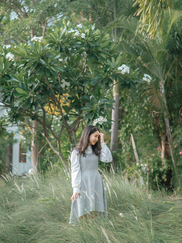 Rice Field Home Farm Stay & Cafe