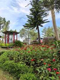 Hotel with amazing view of Lake Toba 