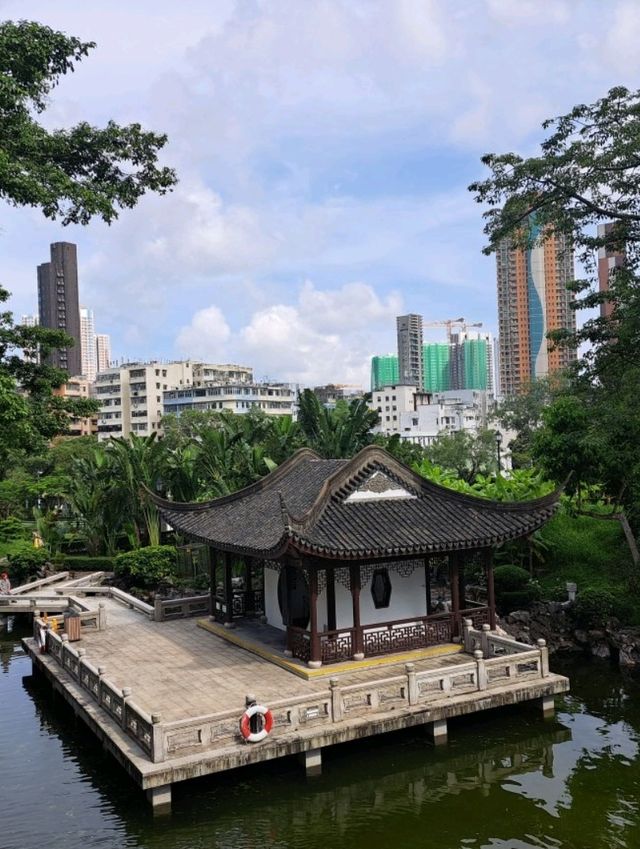 【九龍寨城公園:香港】丁寧に手入れされている綺麗な庭園🌳