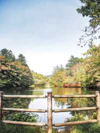 【長野】軽井沢⌇雲場池