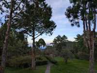 Alishan's Dawn to Dusk Magic