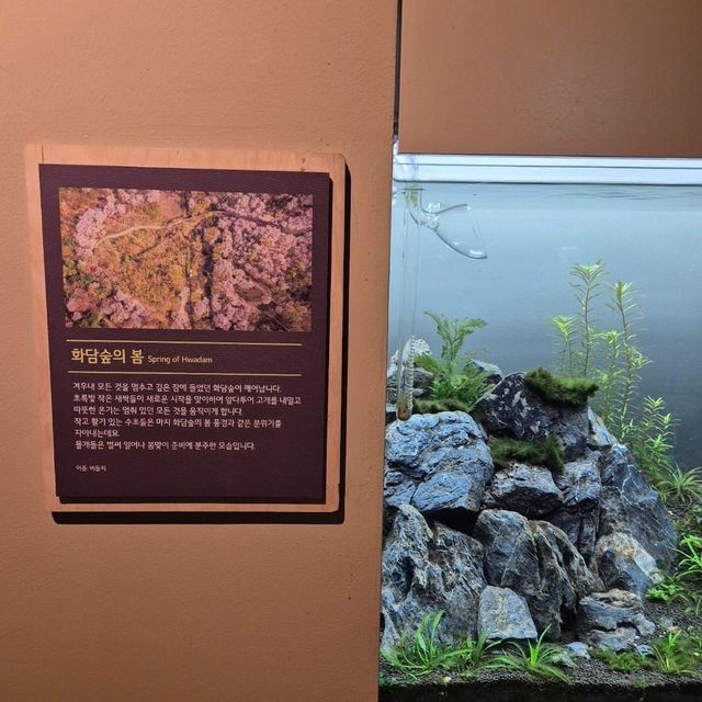 🏞비바리움을 연상케하는 자연 아쿠아리움 화담숲자연생태관🏞