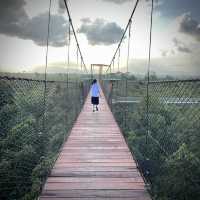 เช็คอิน! 🌳Bota Sky Tower ในสวนพฤกษศาสตร์