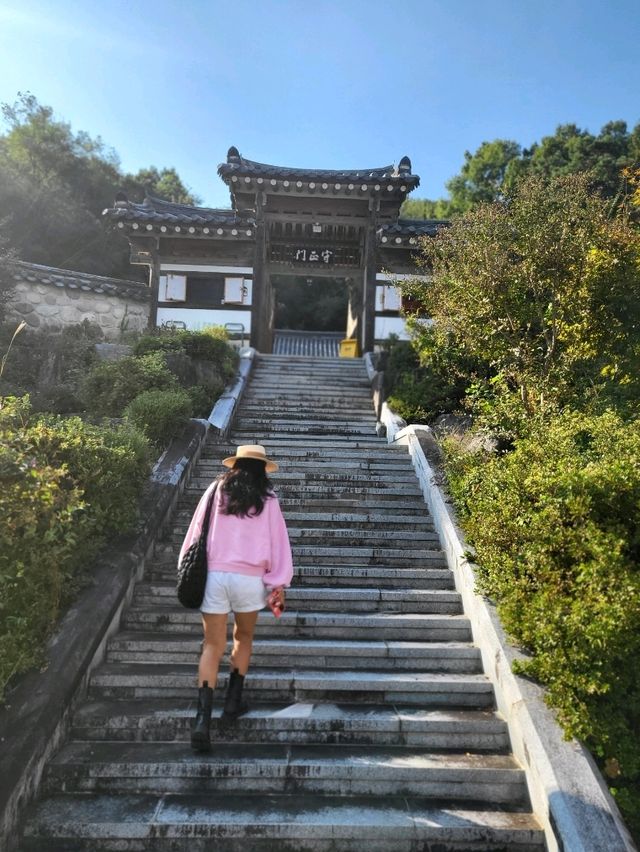 가을낭만 즐기기 딱인 성주 한옥카페