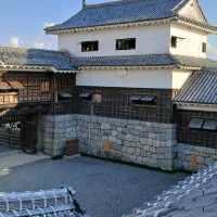 四國愛媛松山城