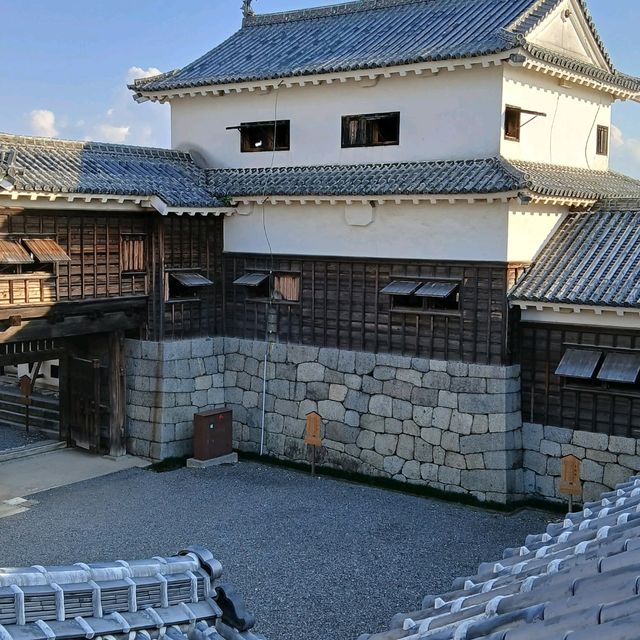 四國愛媛松山城