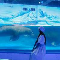 พาเที่ยวอควาเรียมกวางโจวZhengjia Polar Ocean World