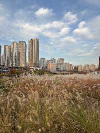 아이들과 함께 뛰어놀기 좋은 동탄호수공원🌳💚