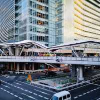 Sky-High Cityscapes: My Thrilling Adventure at Abeno Harukas!