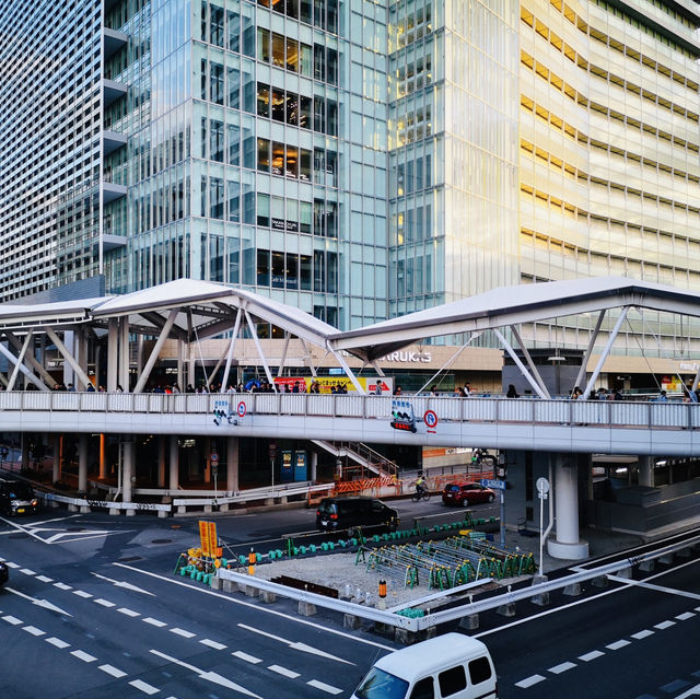 Sky-High Cityscapes: My Thrilling Adventure at Abeno Harukas!