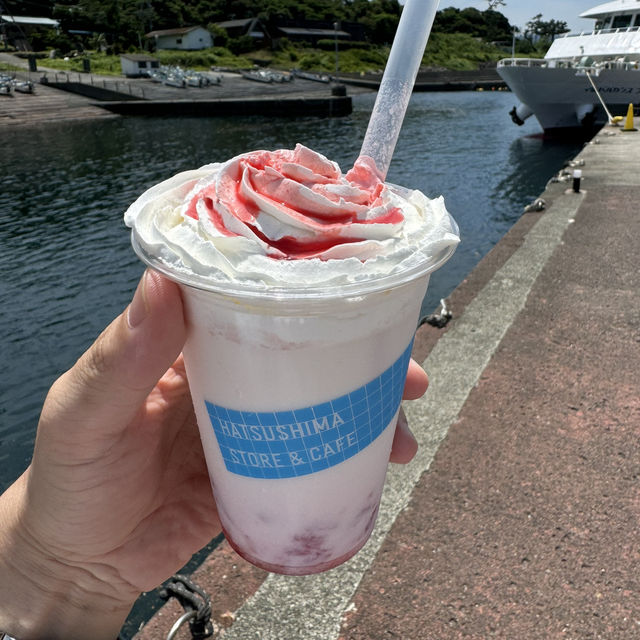 初島上陸！感動的な景色とブランコで幼い子どものように楽しんた