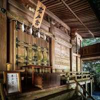 櫻井神社，百年歷史