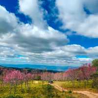 ภูลมโล