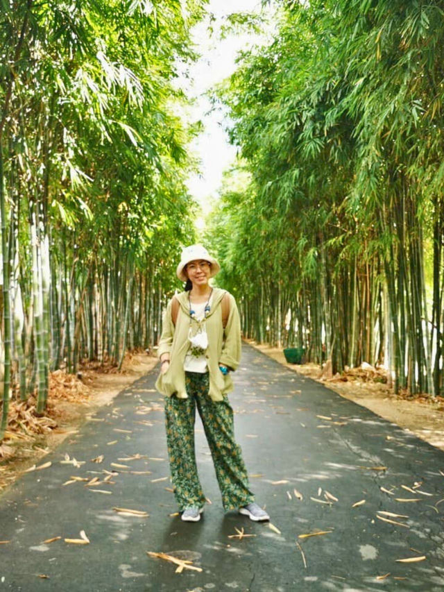 🧈 CHAN Nature Cafe