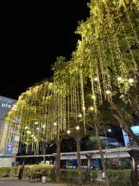 ชมต้นคริสต์มาสสวยๆ ห้างเซ็นทรัลอุดรธานี 