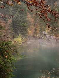 瑞士🇨🇭｜藍湖（Blausee）的靜謐之美