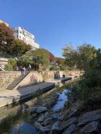 Discovering the Tranquility of Cheonggyecheon River