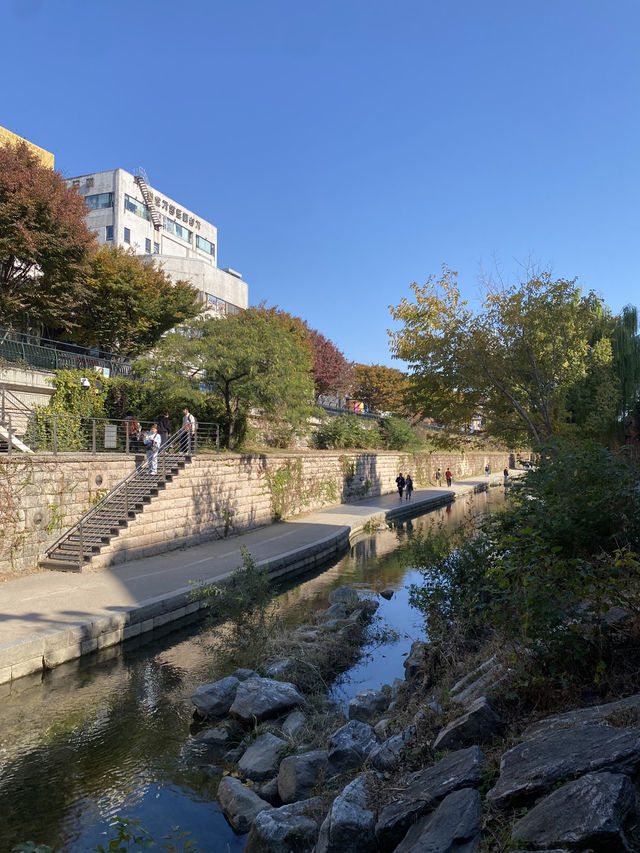 Discovering the Tranquility of Cheonggyecheon River