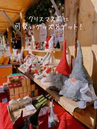 【保存版‼️】早めの予約必須🎄クリスマスの過ごし方5選🎅🛷🤍