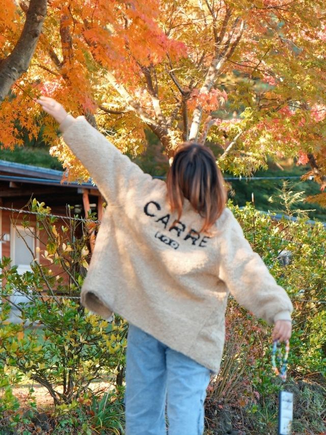 🍁เดินเที่ยว Kawaguchiko-ohashi Bridge กันค่ะ