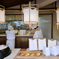 【韓国】韓国で大人気の行列のできる塩パン専門店🥐