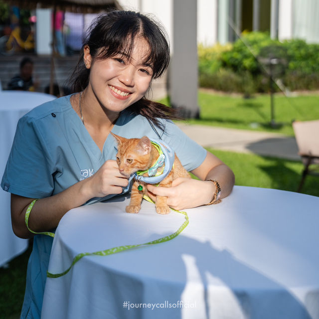 กิจกรรมสำหรับน้องหมาน้องแมว ✨🐶
