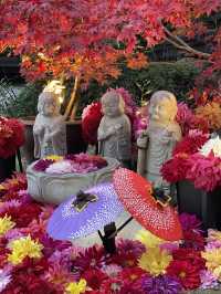 奈良観光🍁岡寺🍁