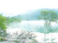 【山形県】春だけの風物詩！白川湖の水没林