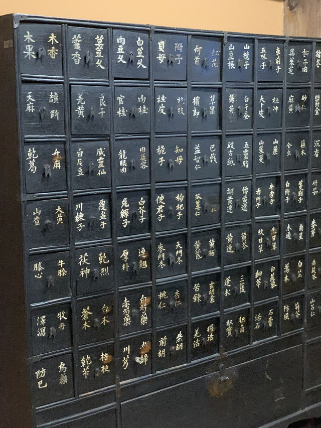 Step Into the Healing Past: A Visit to Yangnyeongsi Oriental Medicine Museum Step Into the Healing Past: A Visit to Yangnyeongsi Oriental Medicine Museum