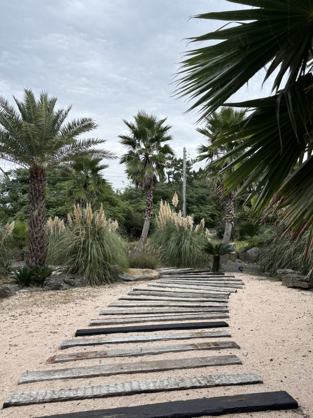 제주 여행 코스로 추천드리는 [협재]🌴