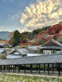 【奈良　長谷寺：長谷寺かふぇ】