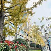 Hongkou of Shanghai 🌲