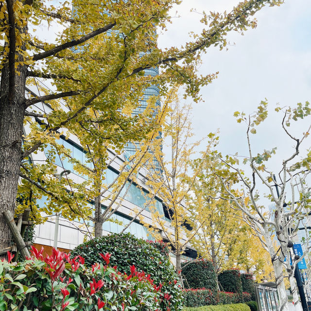Hongkou of Shanghai 🌲
