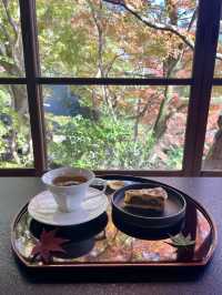 【朝倉カフェ】紅葉を楽しめる隠れ家のようなカフェ