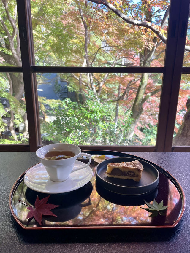 【朝倉カフェ】紅葉を楽しめる隠れ家のようなカフェ